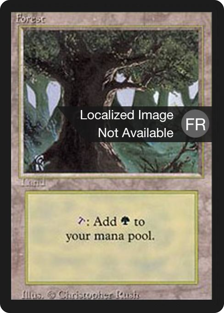 Forest (A) (FBB-304) - Foreign Black Border