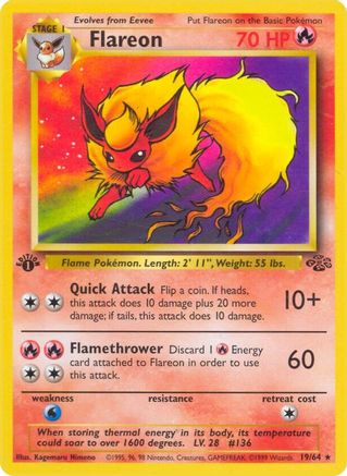 Flareon (19) 019/64 - 1st Edition Jungle - Rare