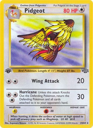 Pidgeot (24) 024 - 1st Edition Jungle - Rare
