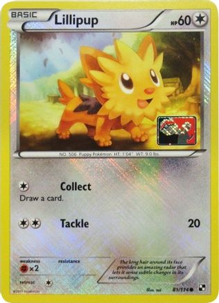 Lillipup 081/114 - Reverse Holofoil League & Championship Cards - Promo