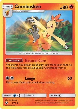 Combusken 005/70 - Reverse Holofoil Dragon Majesty - Uncommon