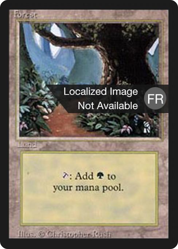 Forest (B) (FBB-305) - Foreign Black Border