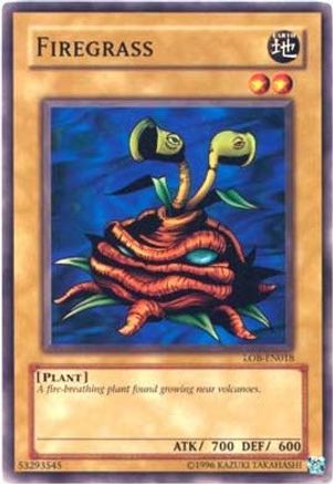 Firegrass (LOB-EN018) - Legend of Blue Eyes White Dragon (Worldwide English) Unlimited