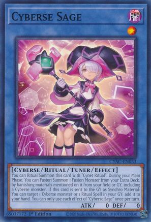 Cyberse Sage (CYAC-EN033) - Cyberstorm Access 1st Edition