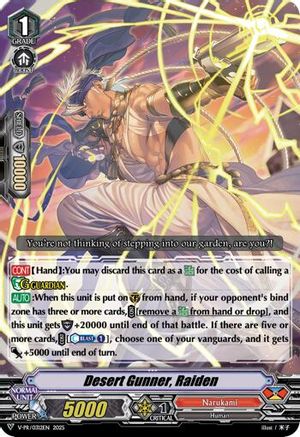 Desert Gunner, Raiden (V-PR/0312EN) - V Promo Cards