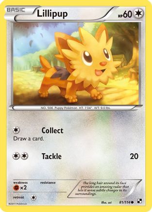 Lillipup (81) 081 Black and White - Common