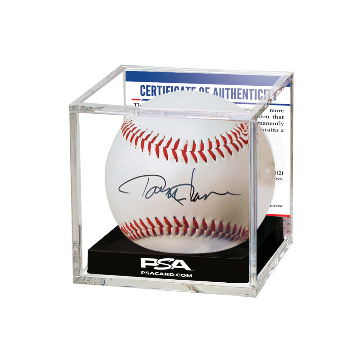 Ultra PRO: Display - UV Protected Ball