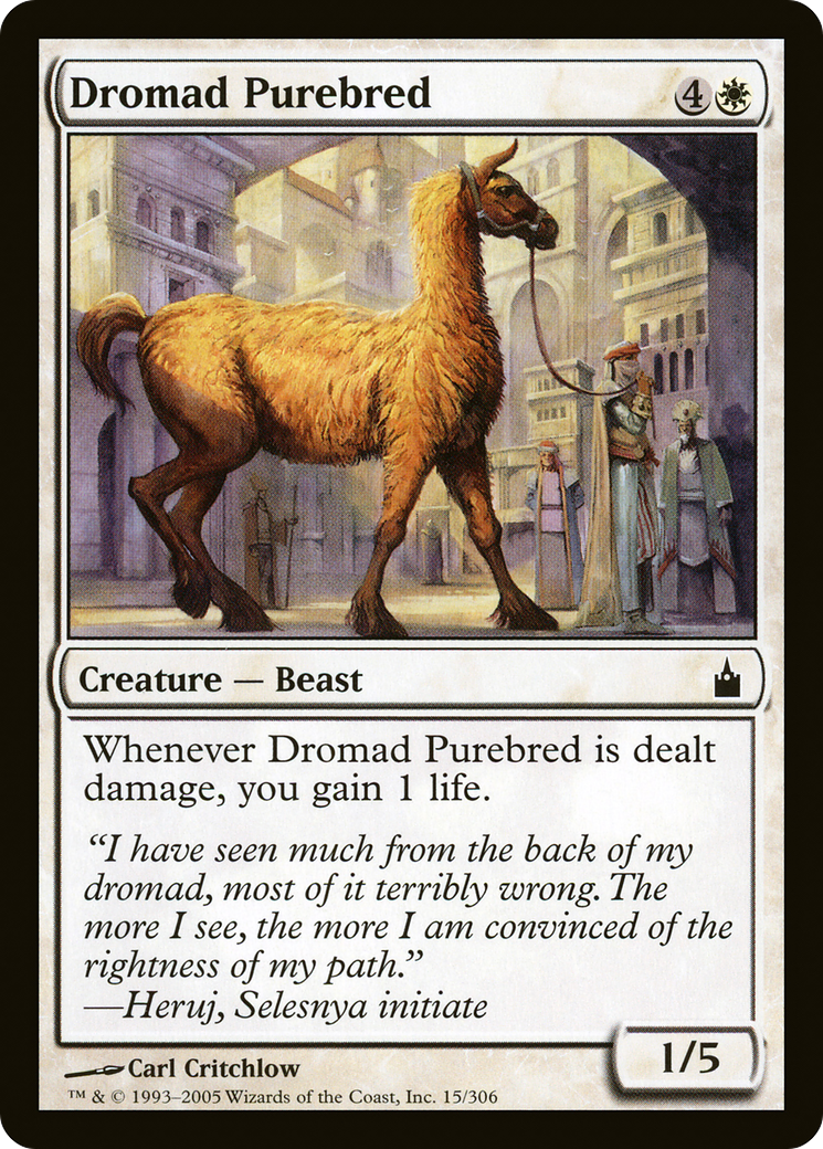 Dromad Purebred [RAV - 15]