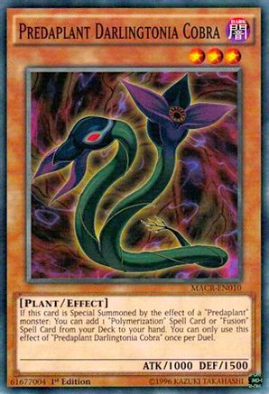 Predaplant Darlingtonia Cobra [MACR - MACR-EN010]