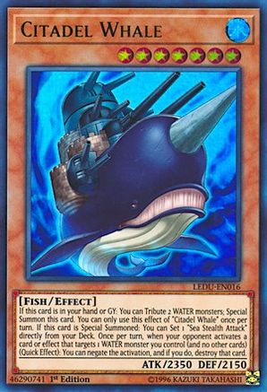 Citadel Whale [LEDU - LEDU-EN016]