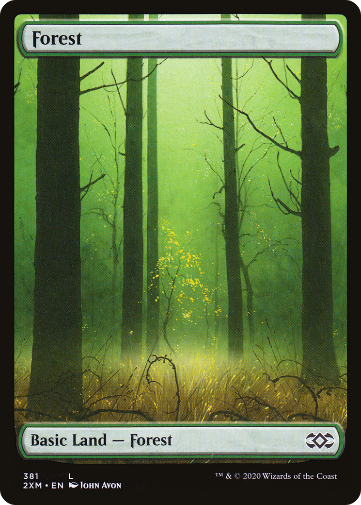 Forest (381) [2XM - 381]