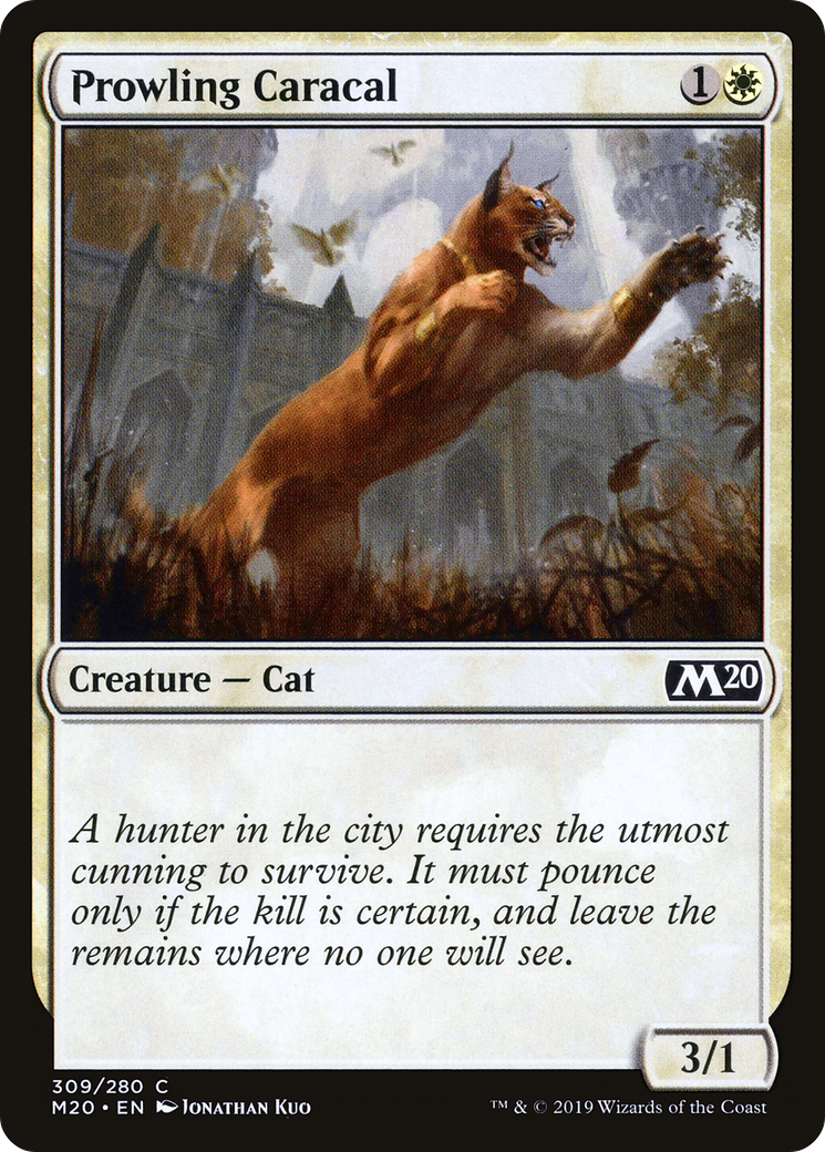 Prowling Caracal [M20 - 309]