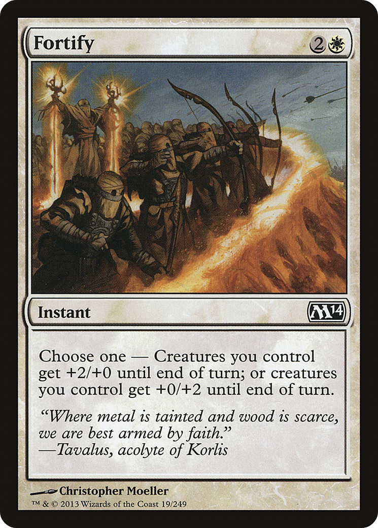 Fortify [M14 - 19]