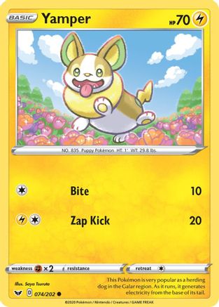 Yamper (074) 074/202  - Reverse Holofoil SWSH01 Sword & Shield Base Set - Common