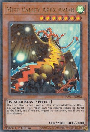 Mist Valley Apex Avian (Duel Terminal) [HAC1 - HAC1-EN062]