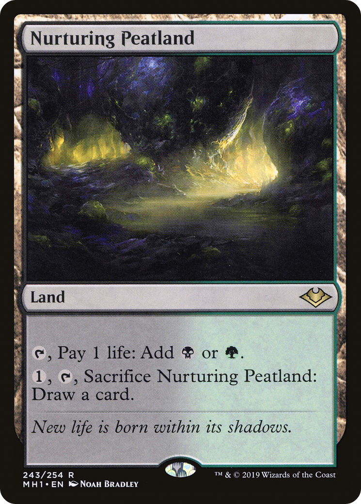 Nurturing Peatland [MH1 - 243]