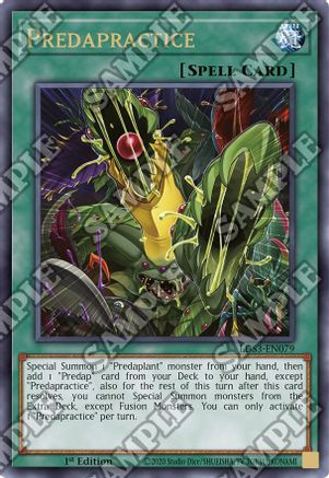 Predapractice [LDS3 - LDS3-EN079]
