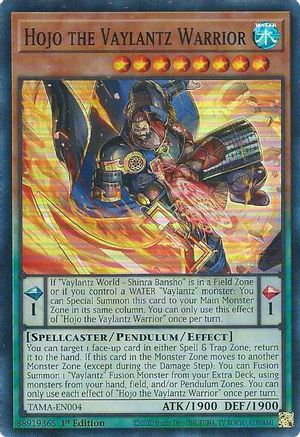 Hojo the Vaylantz Warrior [TAMA - TAMA-EN004]