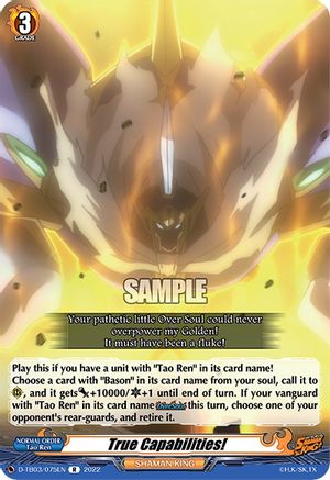 True Capabilities! (D-TB03/075EN) - D-TB03: Shaman King