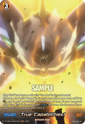 True Capabilities! (SKR) (D-TB03/SKR075EN) - D-TB03: Shaman King