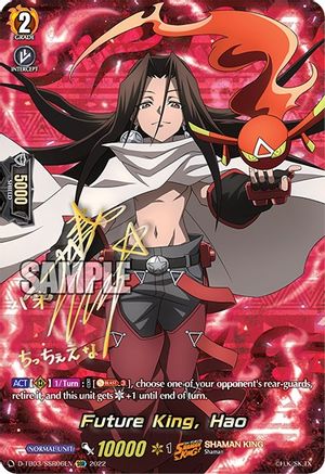 Future King, Hao (SSR) (D-TB03/SSR06EN) - D-TB03: Shaman King