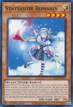 Staysailor Romarin [MP22 - MP22-EN111]