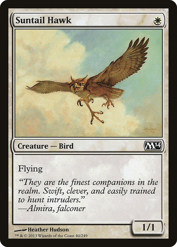 Suntail Hawk [M14 - 40]