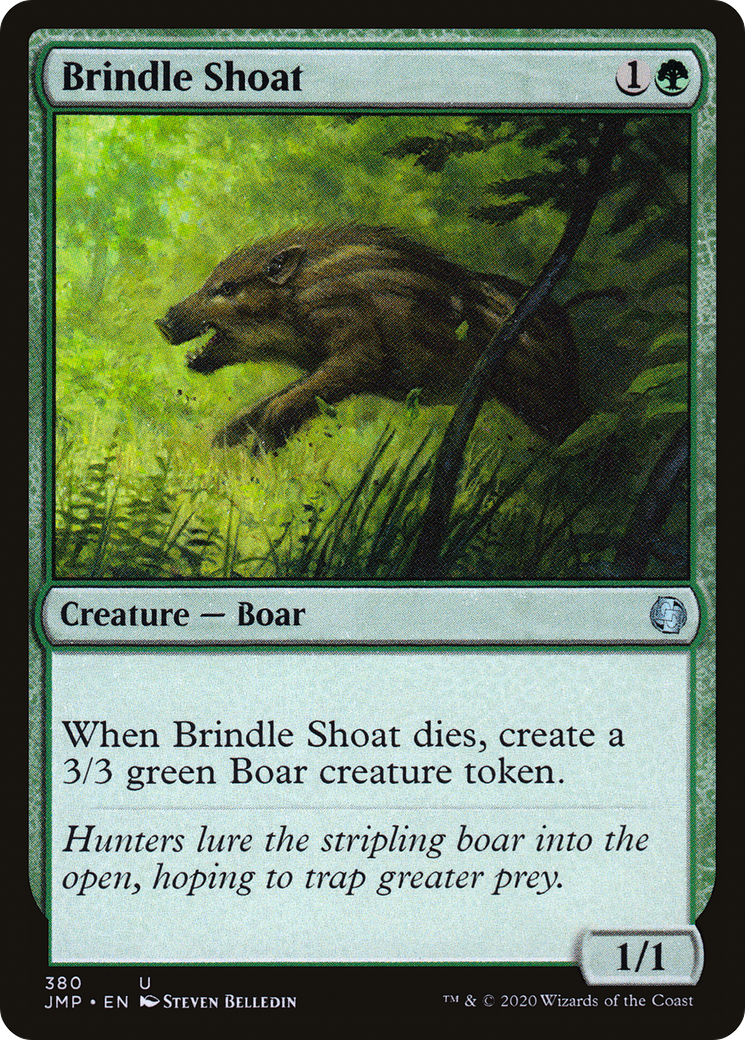 Brindle Shoat [JMP - 380]