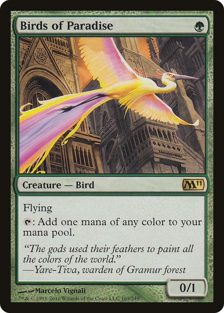 Birds of Paradise [M11 - 165]
