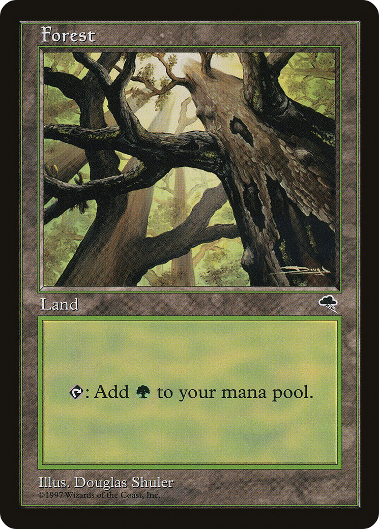Forest (Skyward) [TMP - 347]