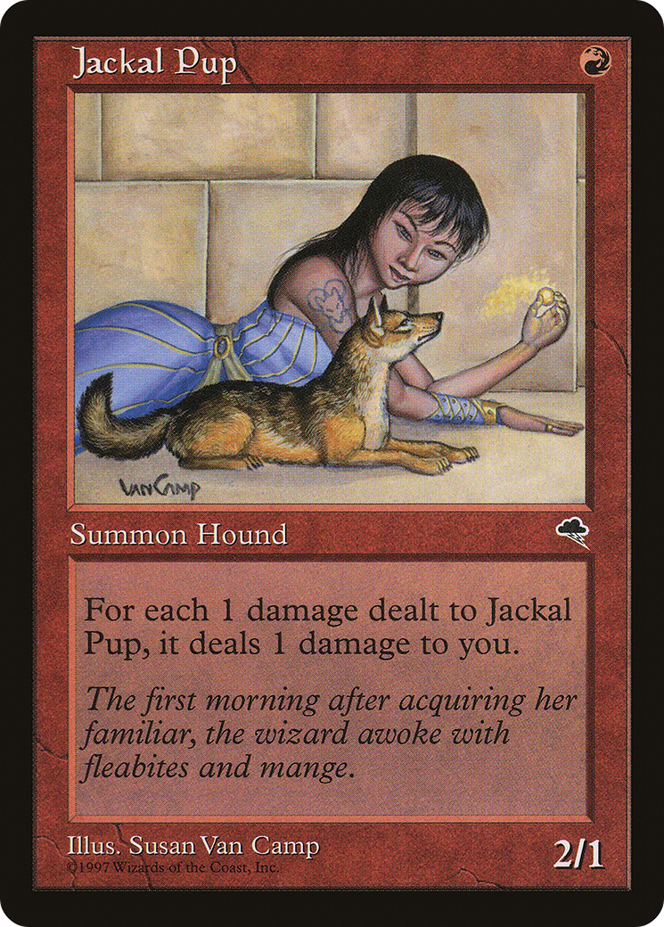 Jackal Pup [TMP - 183]