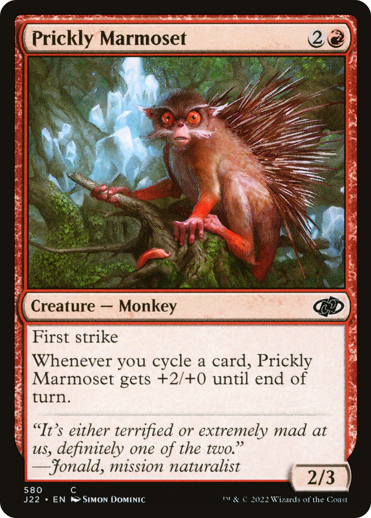 Prickly Marmoset [J22 - 580]