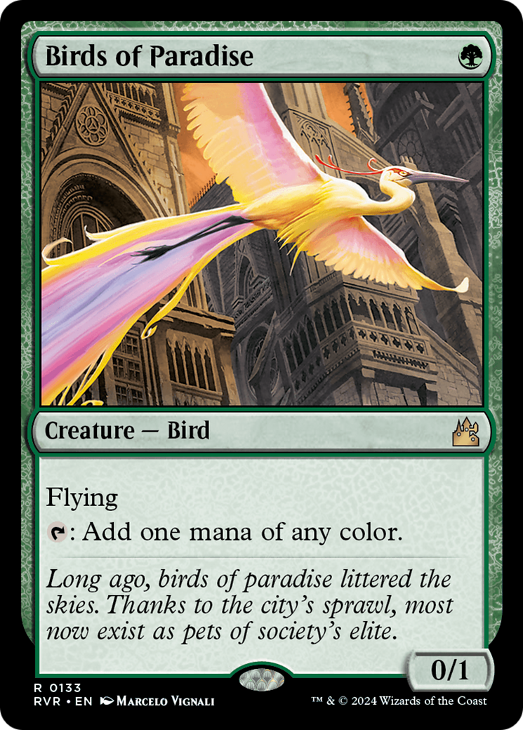 Birds of Paradise [RVR - 133]
