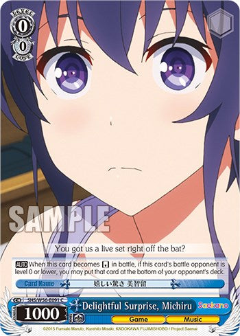 Delightful Surprise, Michiru [SHRB - SHS/W56-E091 C]
