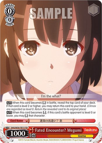 Fated Encounter? Megumi [SHRB - SHS/W56-TE13 TD]