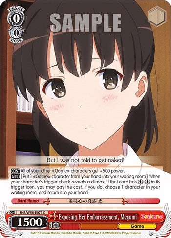 Exposing Her Embarrassment, Megumi [SHRB - SHS/W56-E071 C]