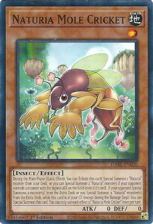 Naturia Mole Cricket [DABL - DABL-EN020]