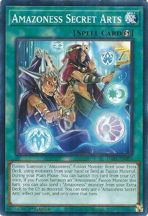 Amazoness Secret Arts [DABL - DABL-EN099]