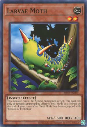 Larvae Moth [MRD-EN - MRD-EN007]