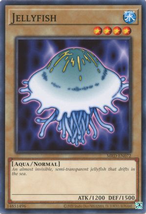 Jellyfish [MRD-EN - MRD-EN072]
