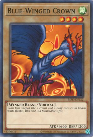 Blue-Winged Crown [MRD-EN - MRD-EN122]