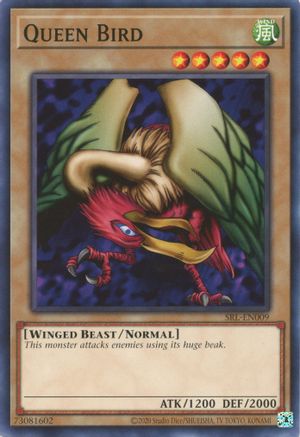 Queen Bird [SRL-EN - SRL-EN009]