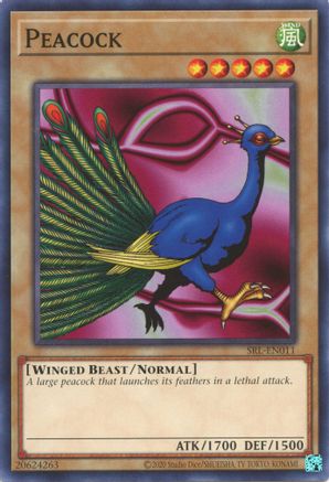 Peacock [SRL-EN - SRL-EN011]