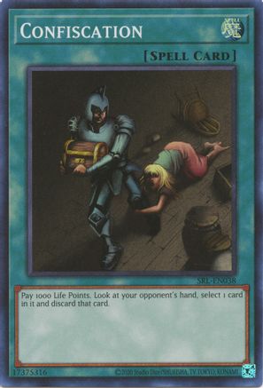 Confiscation [SRL-EN - SRL-EN038]