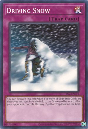 Driving Snow [PSV-EN - PSV-EN018]