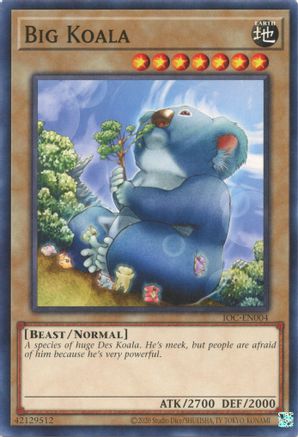 Big Koala [IOC-EN - IOC-EN004]