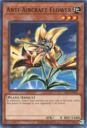 Anti-Aircraft Flower [IOC-EN - IOC-EN076]