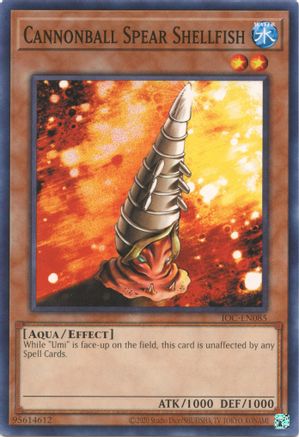 Cannonball Spear Shellfish [IOC-EN - IOC-EN085]