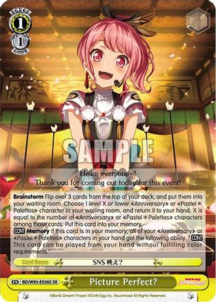 Picture Perfect? (SR) [BD/W95 - BD/W95-E026S SR]