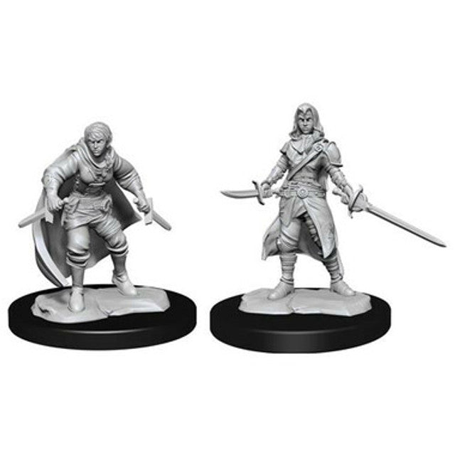 Nolzur's Marvelous Miniatures - Half Elf Rogue